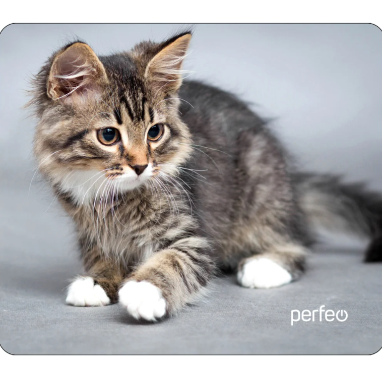 Коврик для мыши Perfeo PF-D0661 "Cat" 240х200x2мм, ткань, резиновое основание,