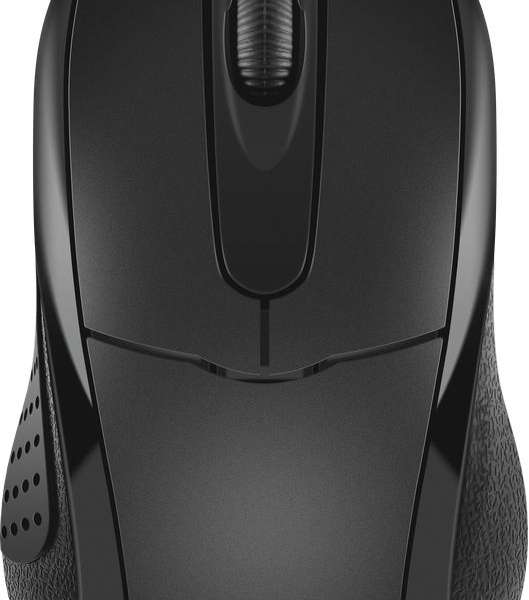 Мышь Defender Standard MB-580 USB Optical (1000 dpi) черная, 2 кнопки+колесо-кнопка, длина кабеля 1,
