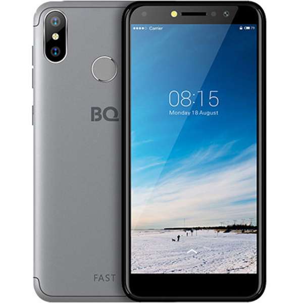 BQ-5515L FAST titanium-gray