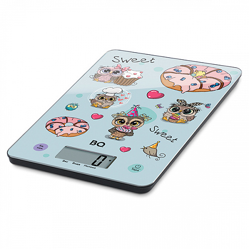 BQ KS1001 Owls